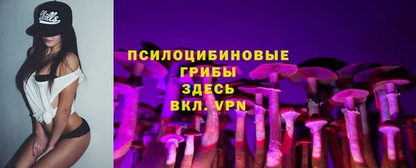 мяу мяу мука Надым