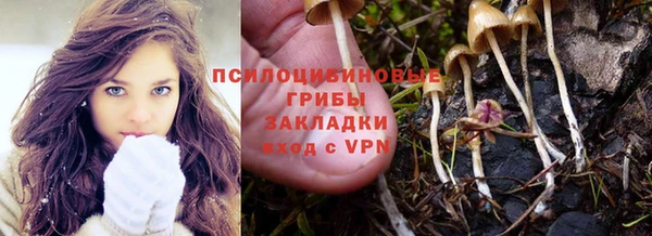 мяу мяу мука Надым