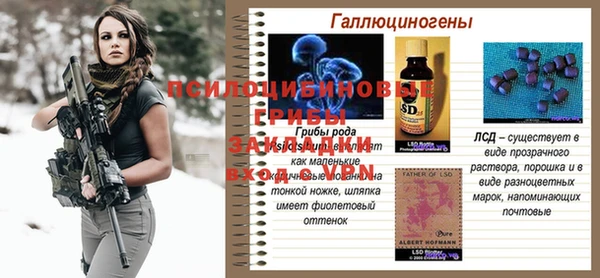 гашик Наволоки