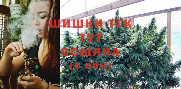 мяу мяу мука Надым