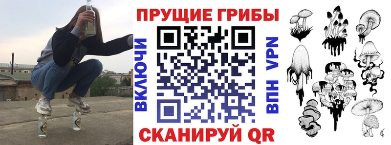 Псилоцибиновые грибы Cubensis  Купить  Дальнереченск 