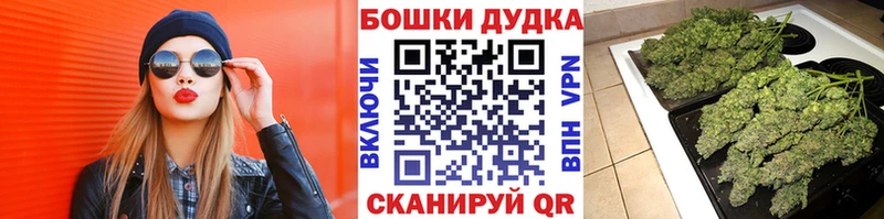 Канабис семена  Купить где  Дальнереченск 